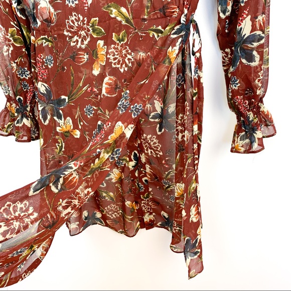 Fall Colored Sheer Zara Dress - Picture 10 of 12